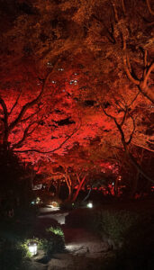 みくブログ 2️⃣