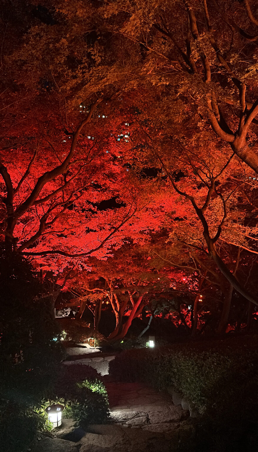 みくブログ 2️⃣ - 川崎のセクキャバTHIRD 公式 |厳選美女と贅沢な時間を