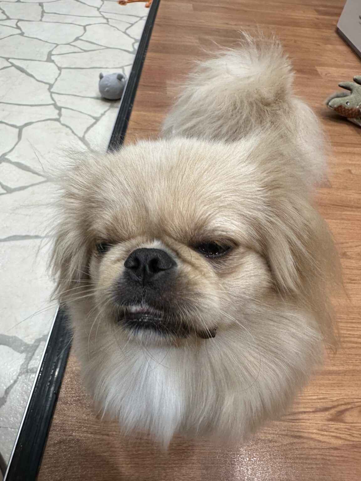 みくブログ しゅ - 川崎のセクキャバTHIRD 公式 |厳選美女と贅沢な時間を