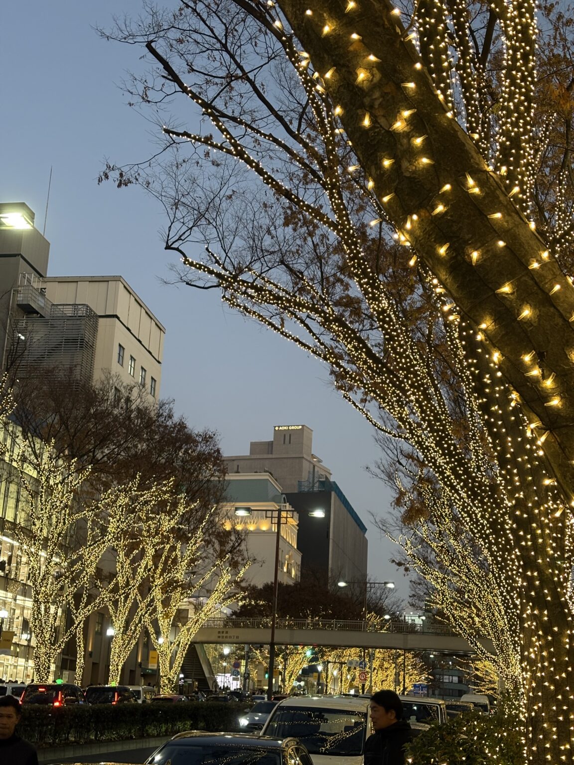 ゆりブログ いるよん - 川崎のセクキャバTHIRD 公式 |厳選美女と贅沢な時間を