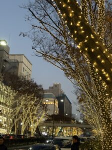 ゆりブログ いるよん