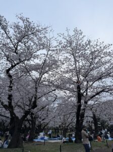 みくブログ 出勤