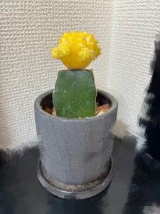 みなブログ おはよ〜